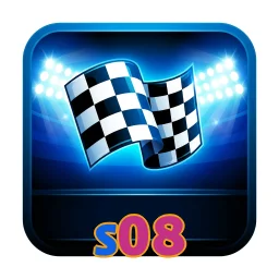s08